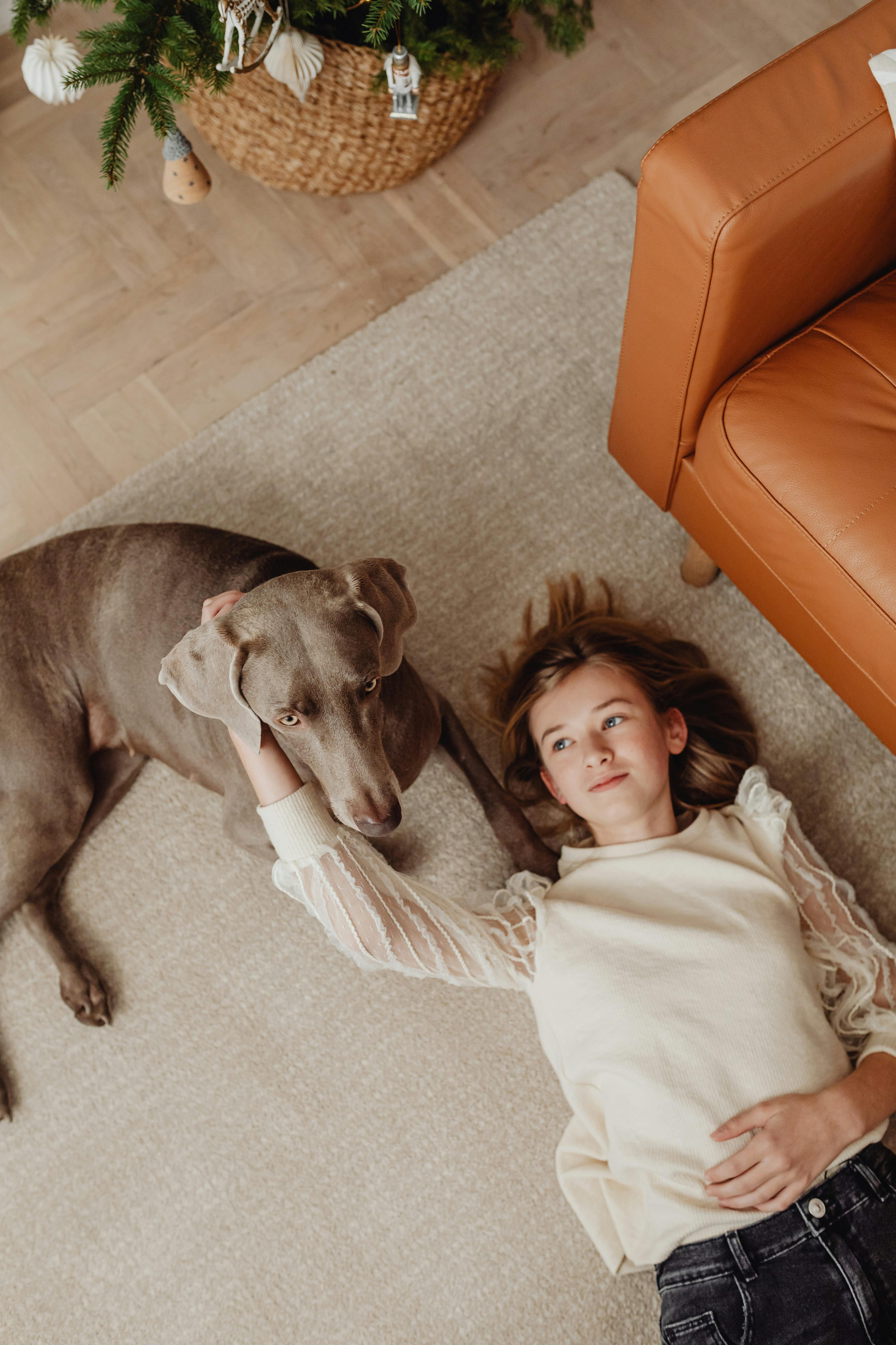 Girl and Dog Resting in Christmas Living Room