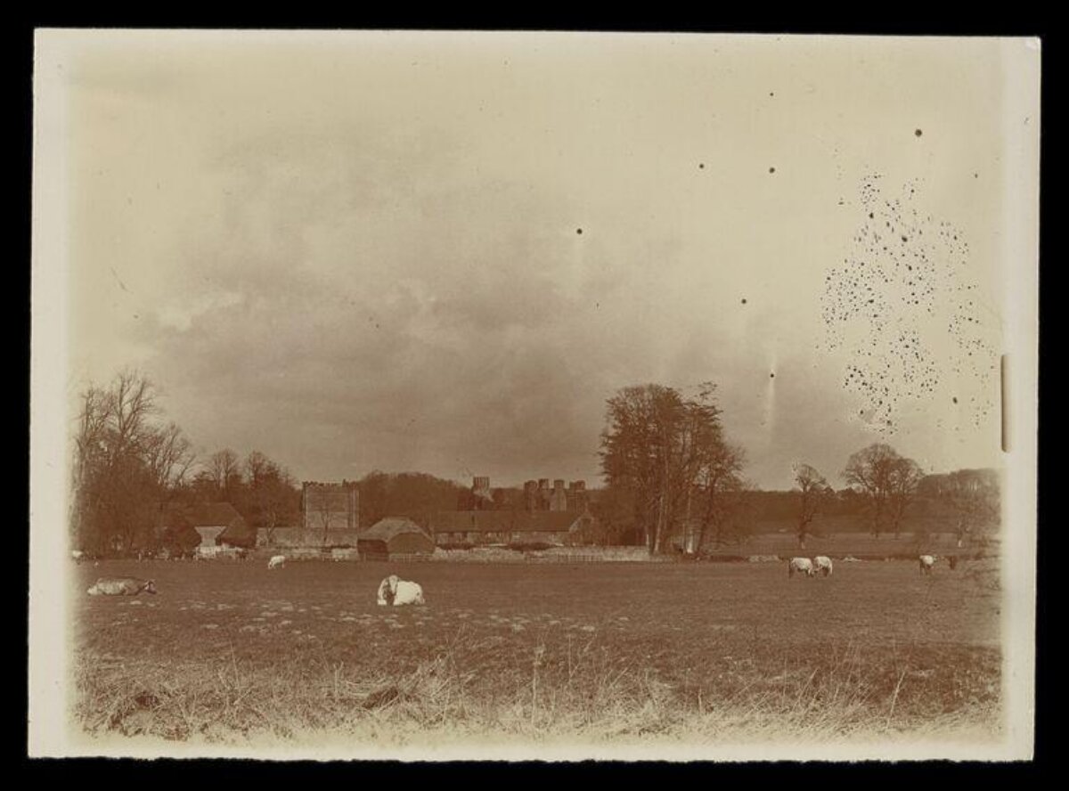 Vintage Pasture with Grazing Sheep