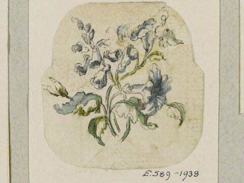 Watercolor Sketch of Blue Wildflowers