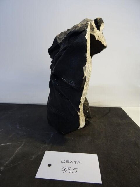 Tagged Black Rock Geological Specimen