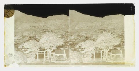 Village Landscape Glass Negative