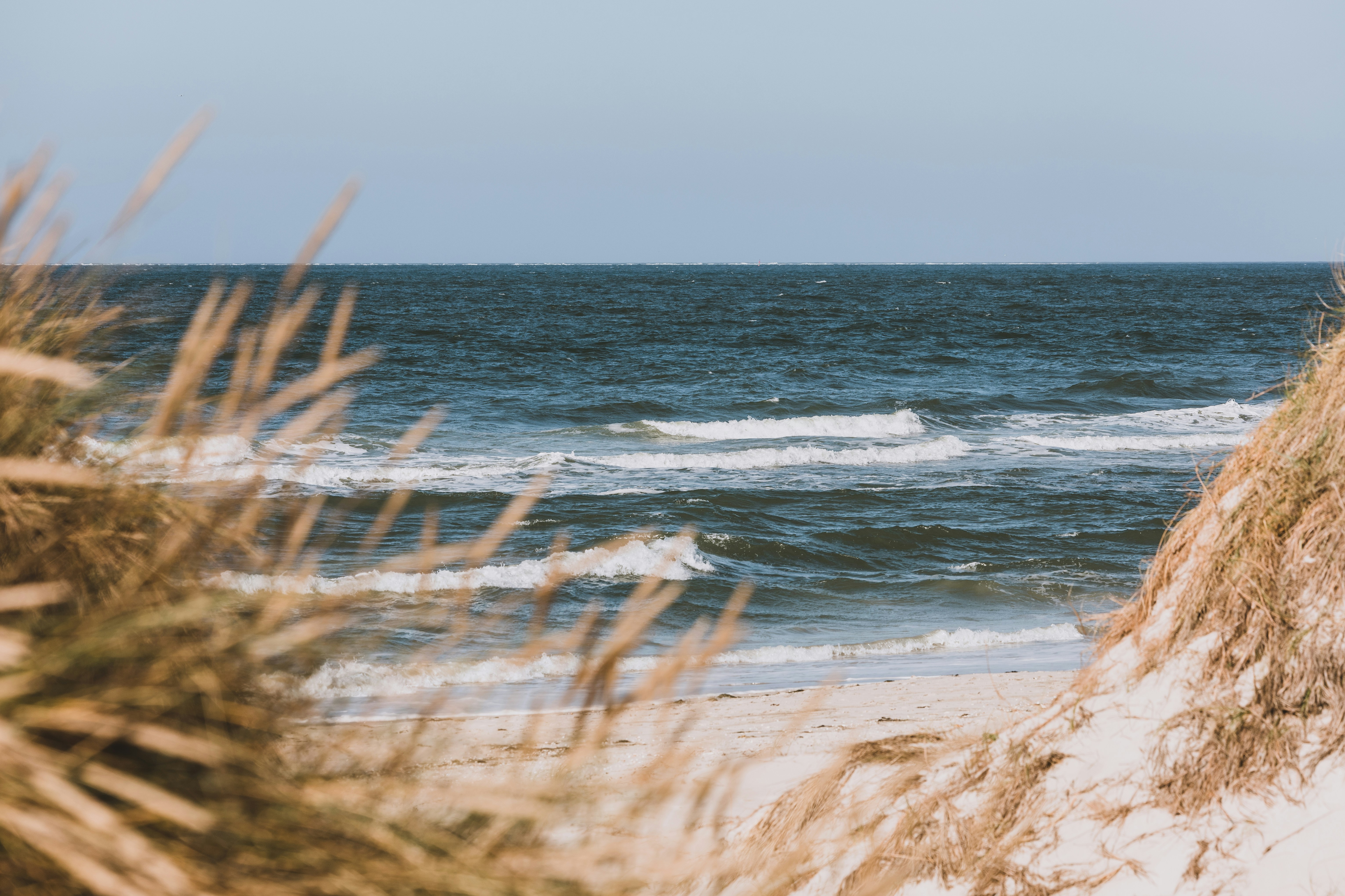 Ocean View from Coastal Dunes