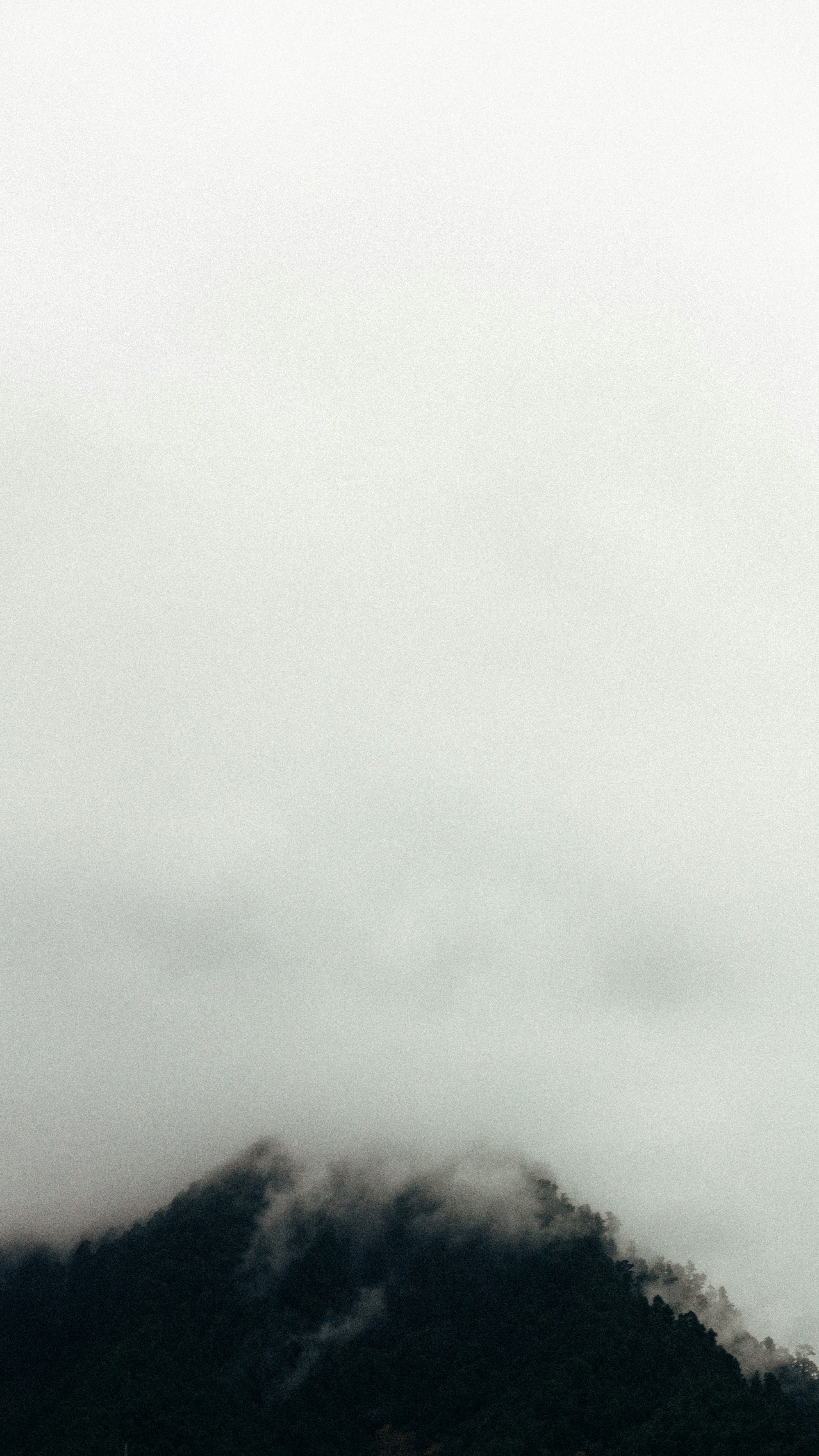 Landscapes