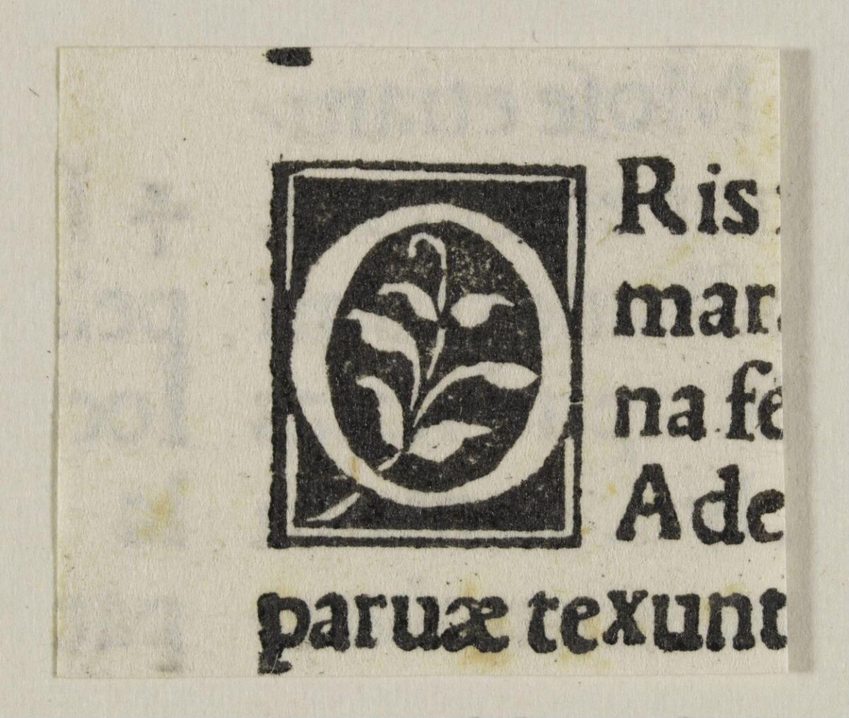Decorated Initial O on Early Printed Page