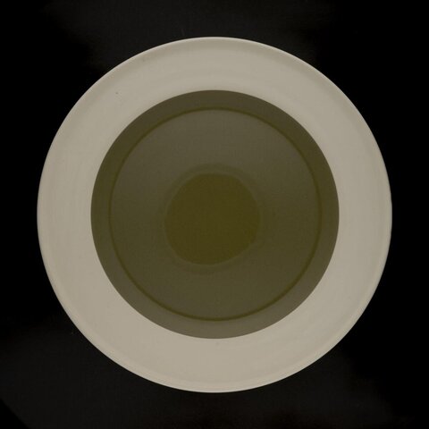 Top View Concentric Gradient Plate
