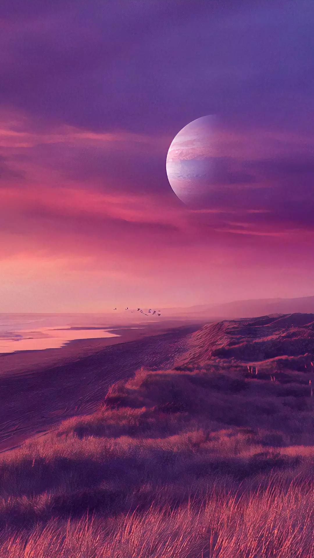 Wallpapers