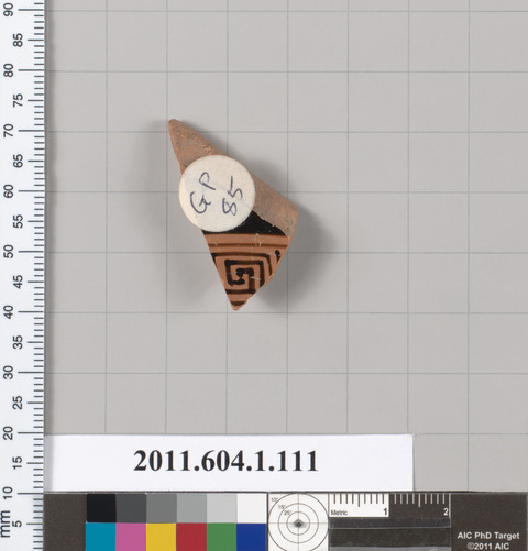 Ancient Pottery Shard Specimen
