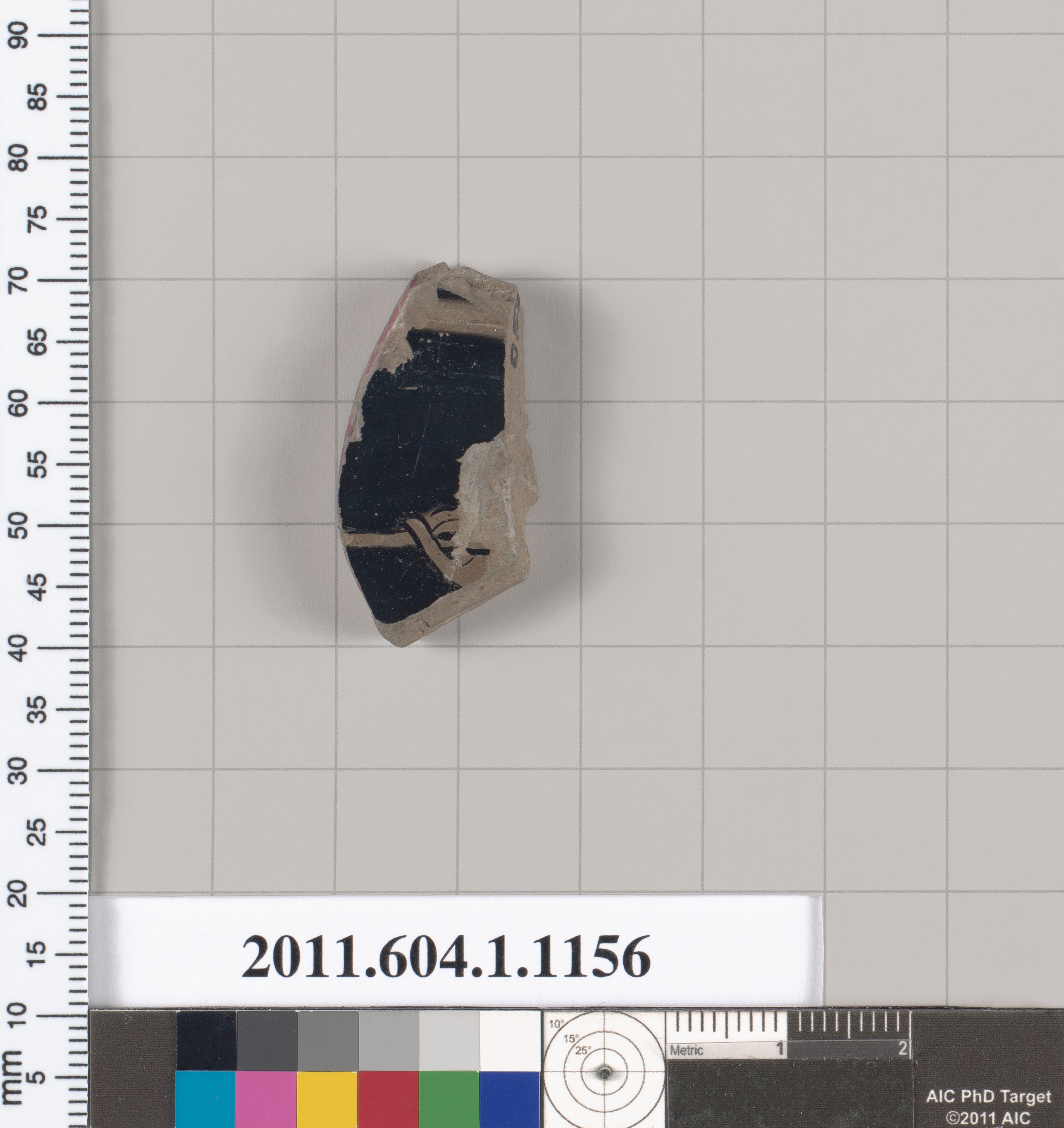Museum Cataloged Pottery Shard