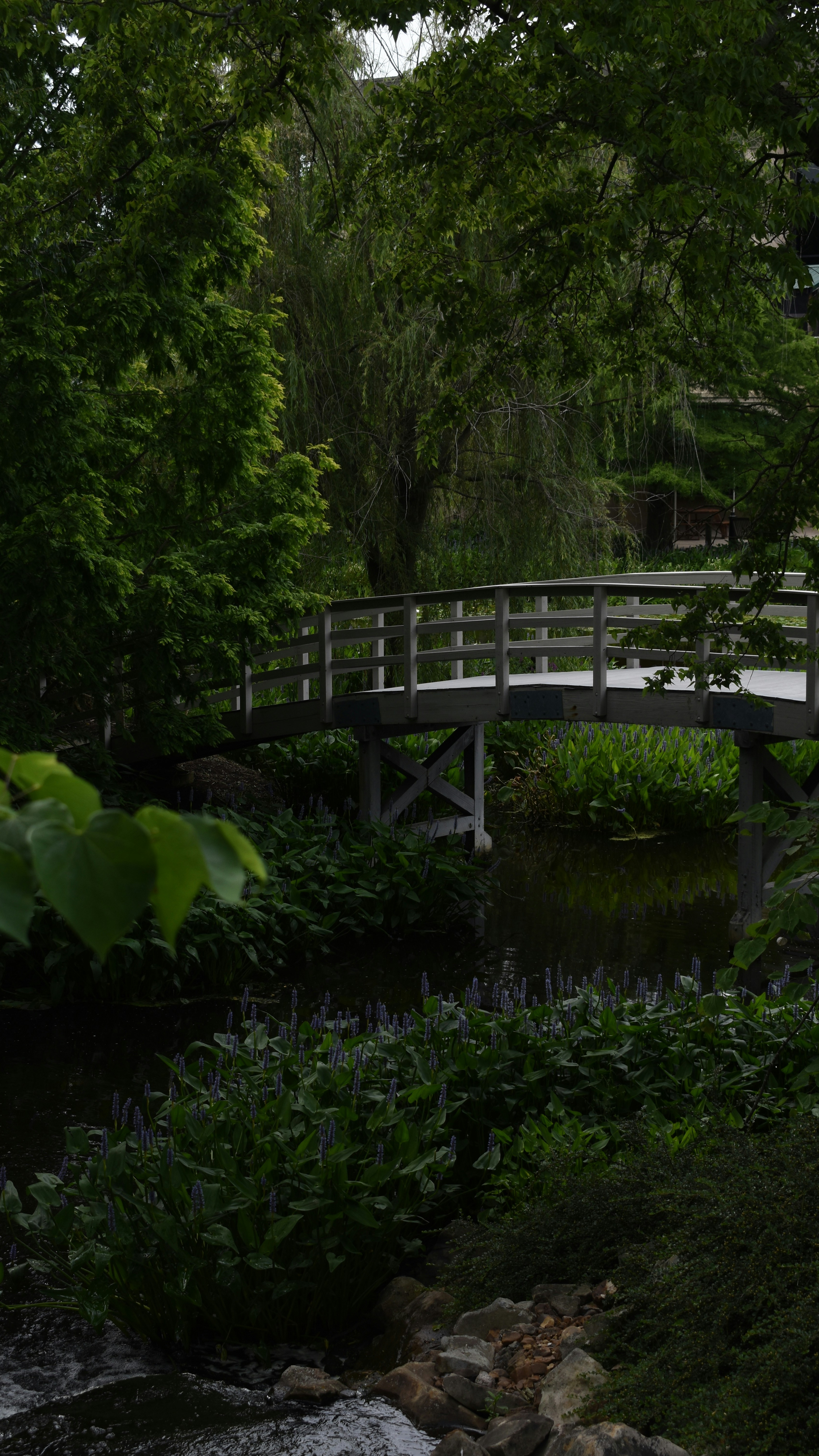 Image 1568222 — Nature