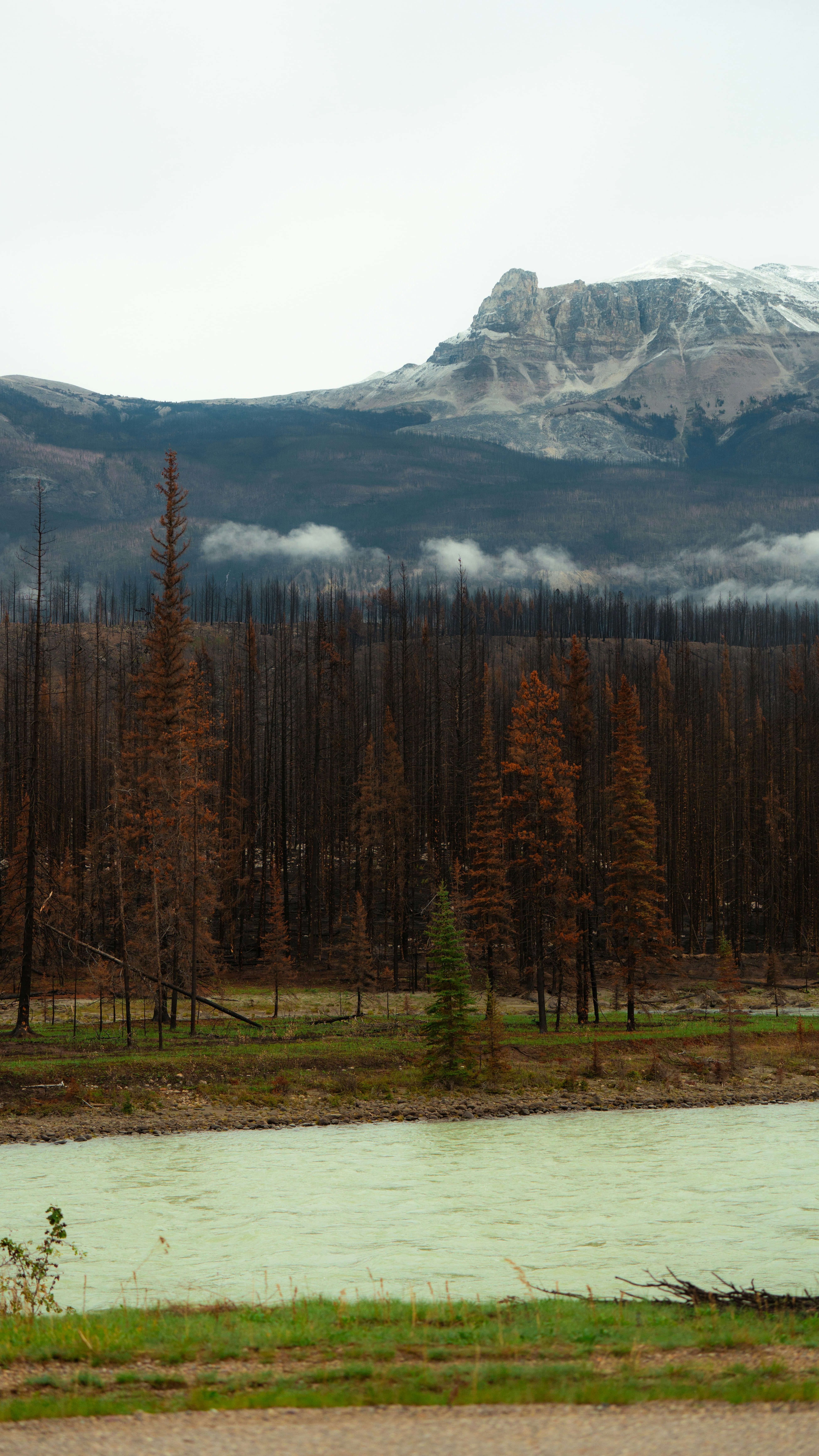 Image 1576372 — Nature