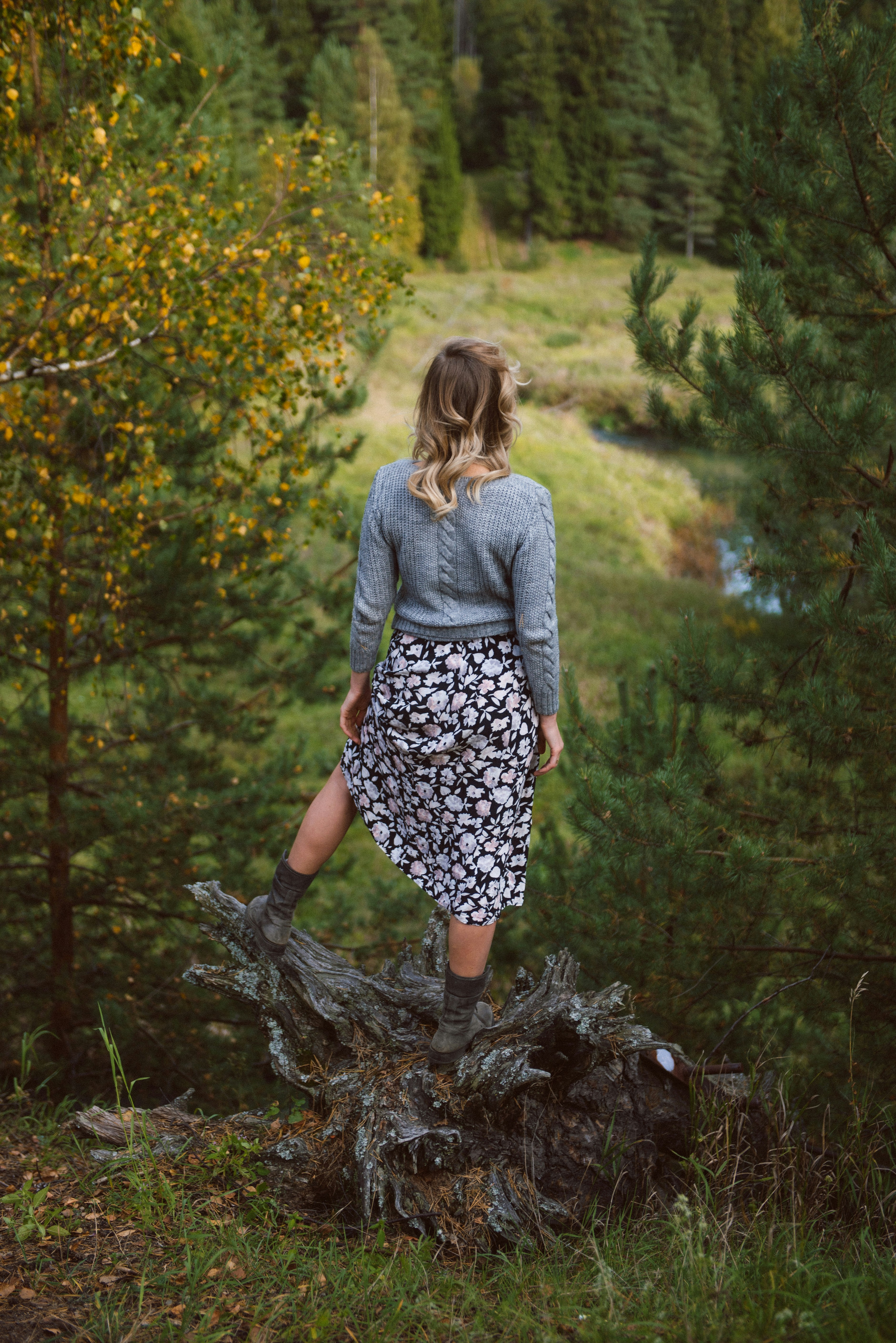 Forest & Flora