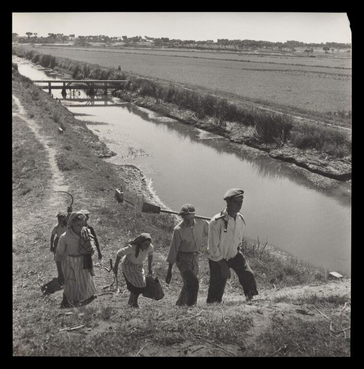 Farm Workers Climbing Canal Bank After Work