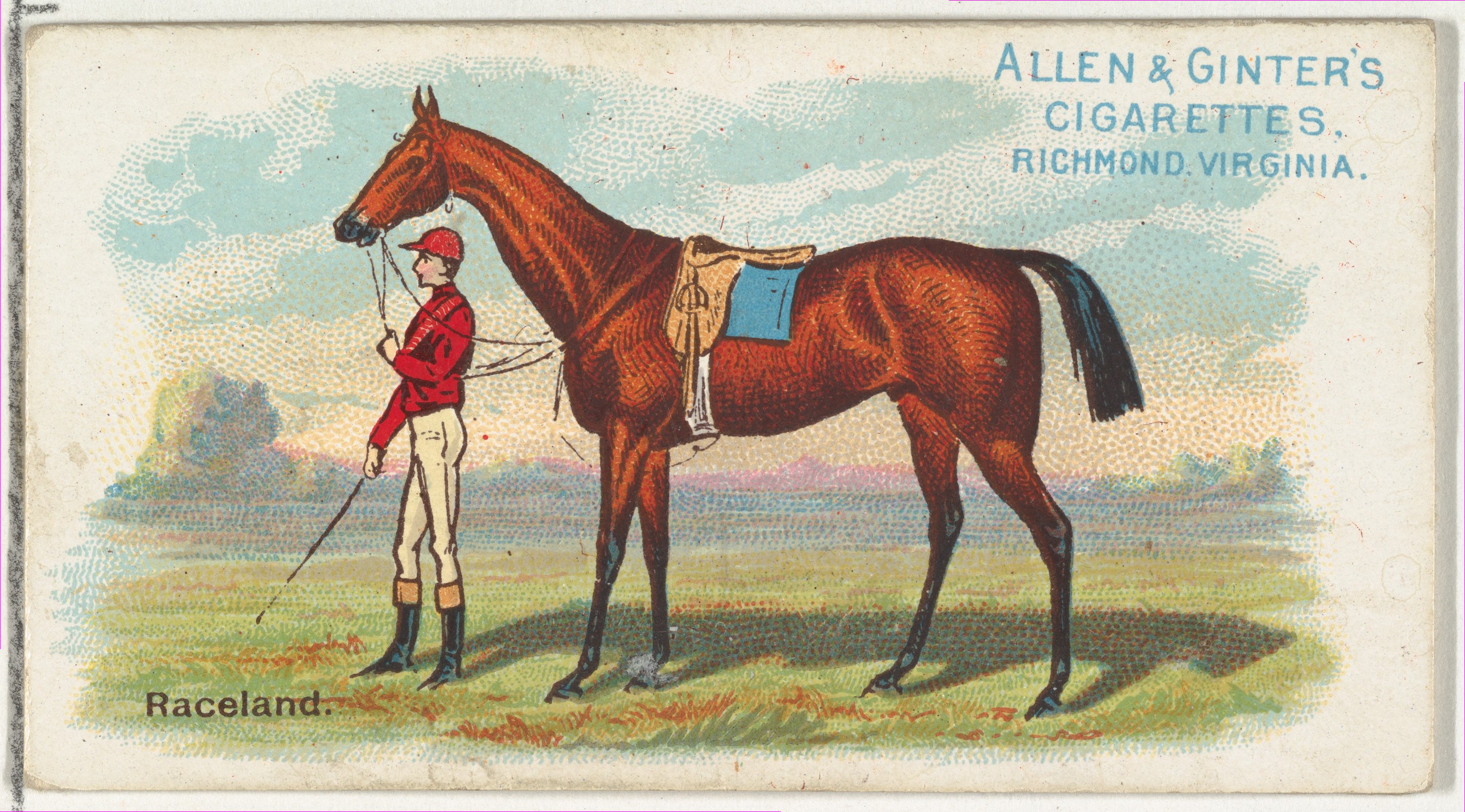 Vintage Cigarette Card of Raceland Racehorse