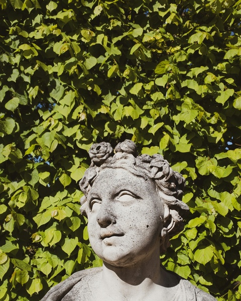 Stone Female Bust Against Green Foliage