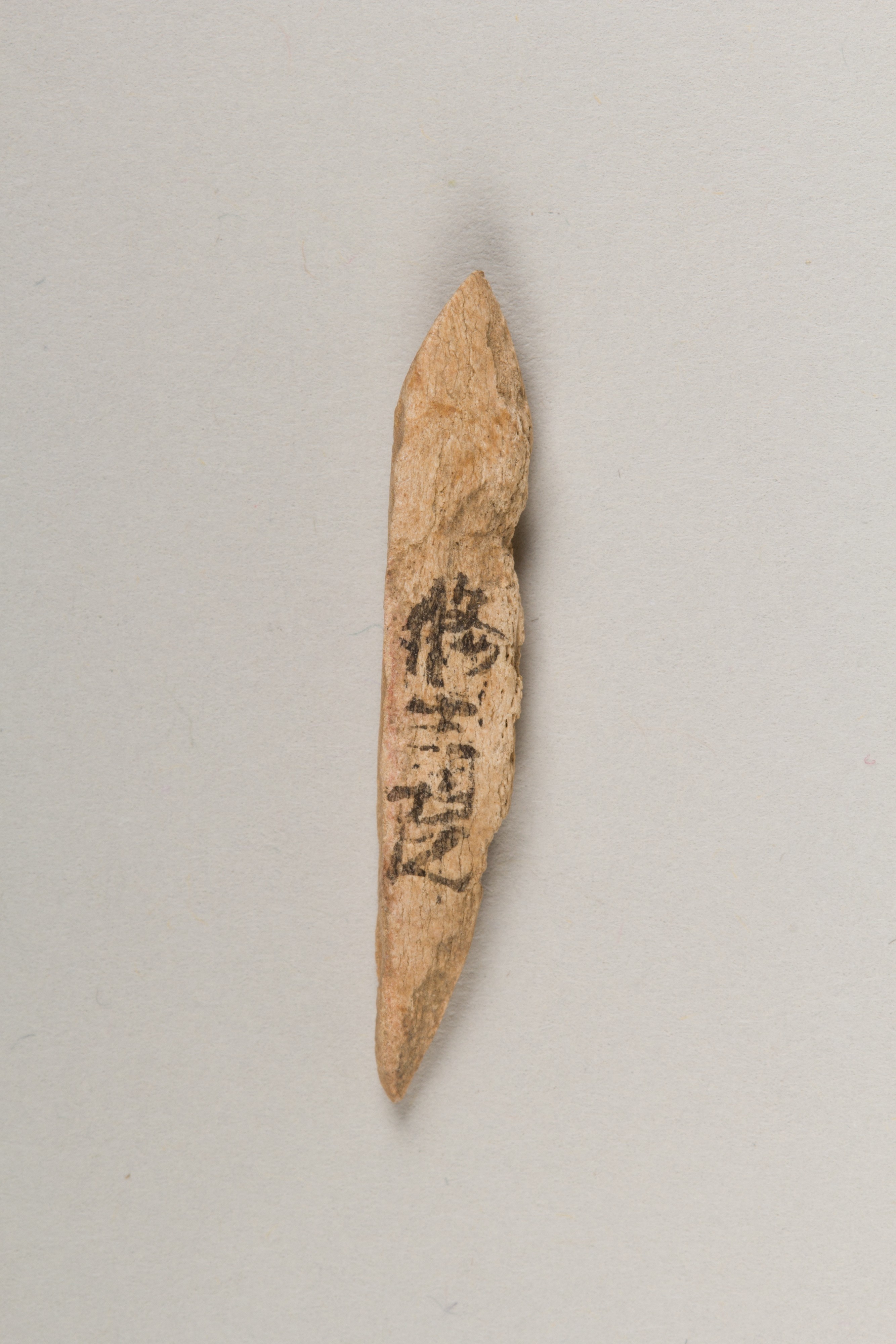 Inscribed Ancient Bone Artifact