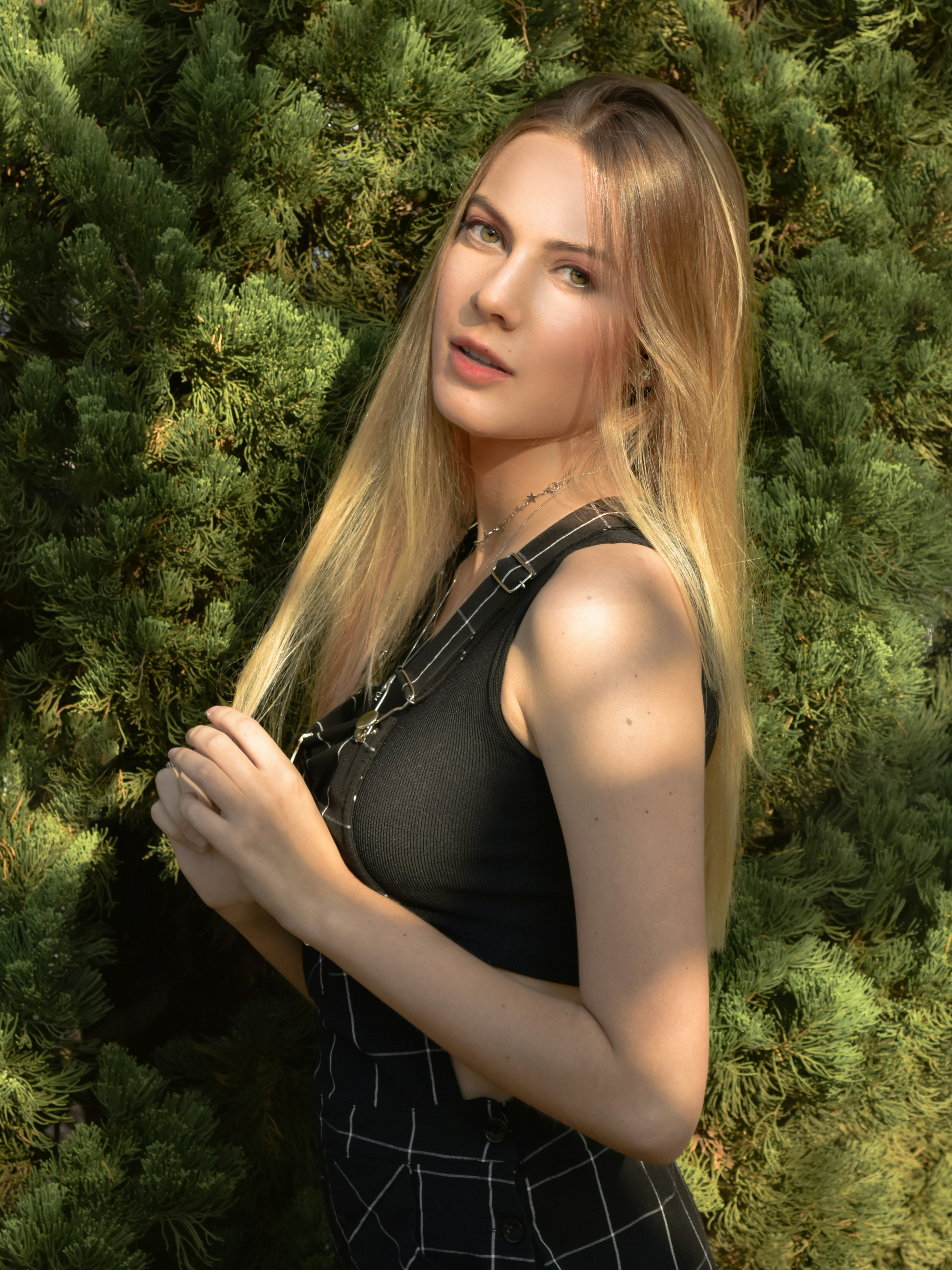 Forest & Flora
