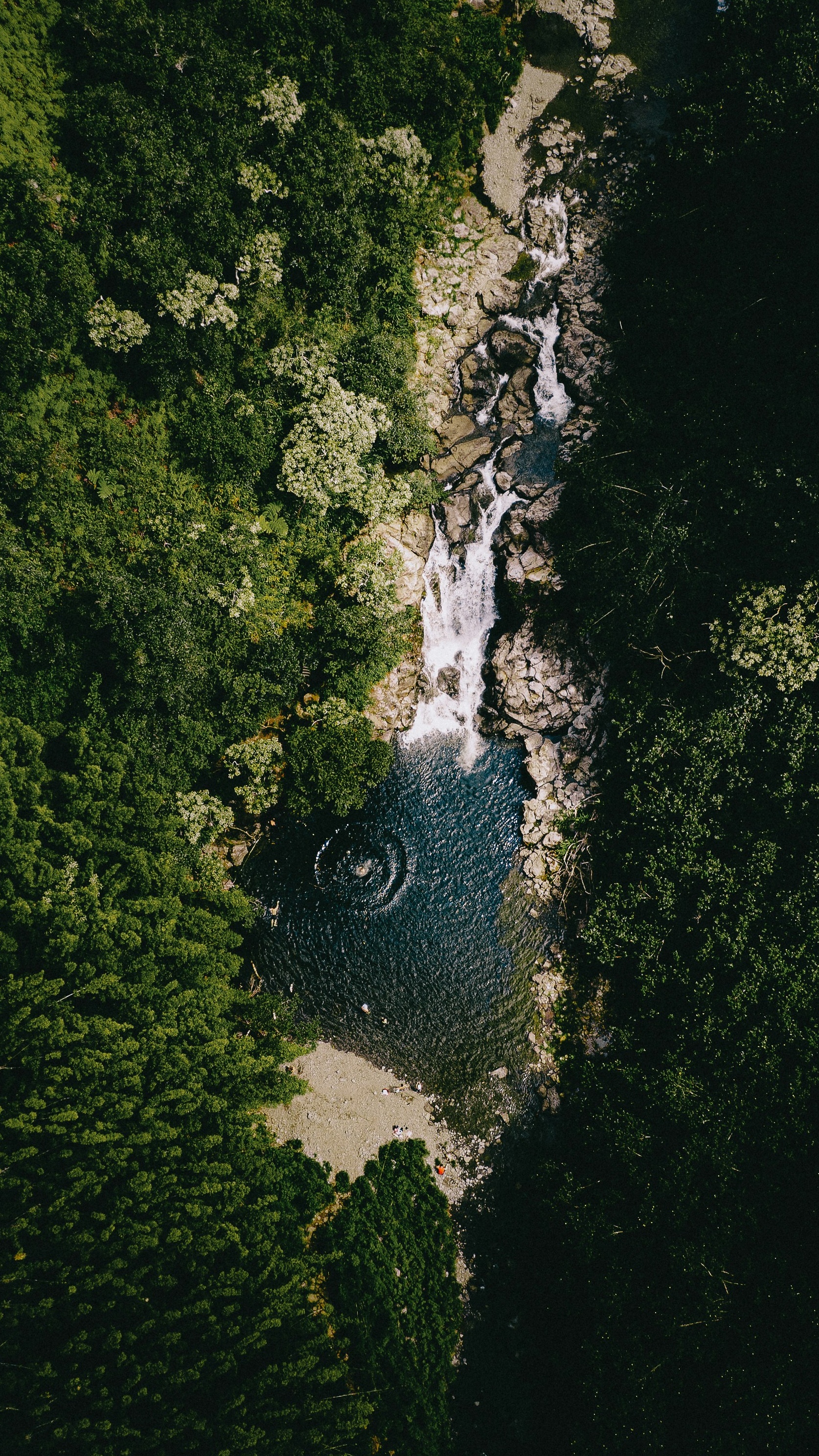Wallpapers