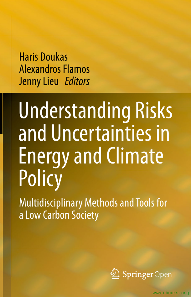 Understanding Risks and Uncertainties in Energy and Climate Policy