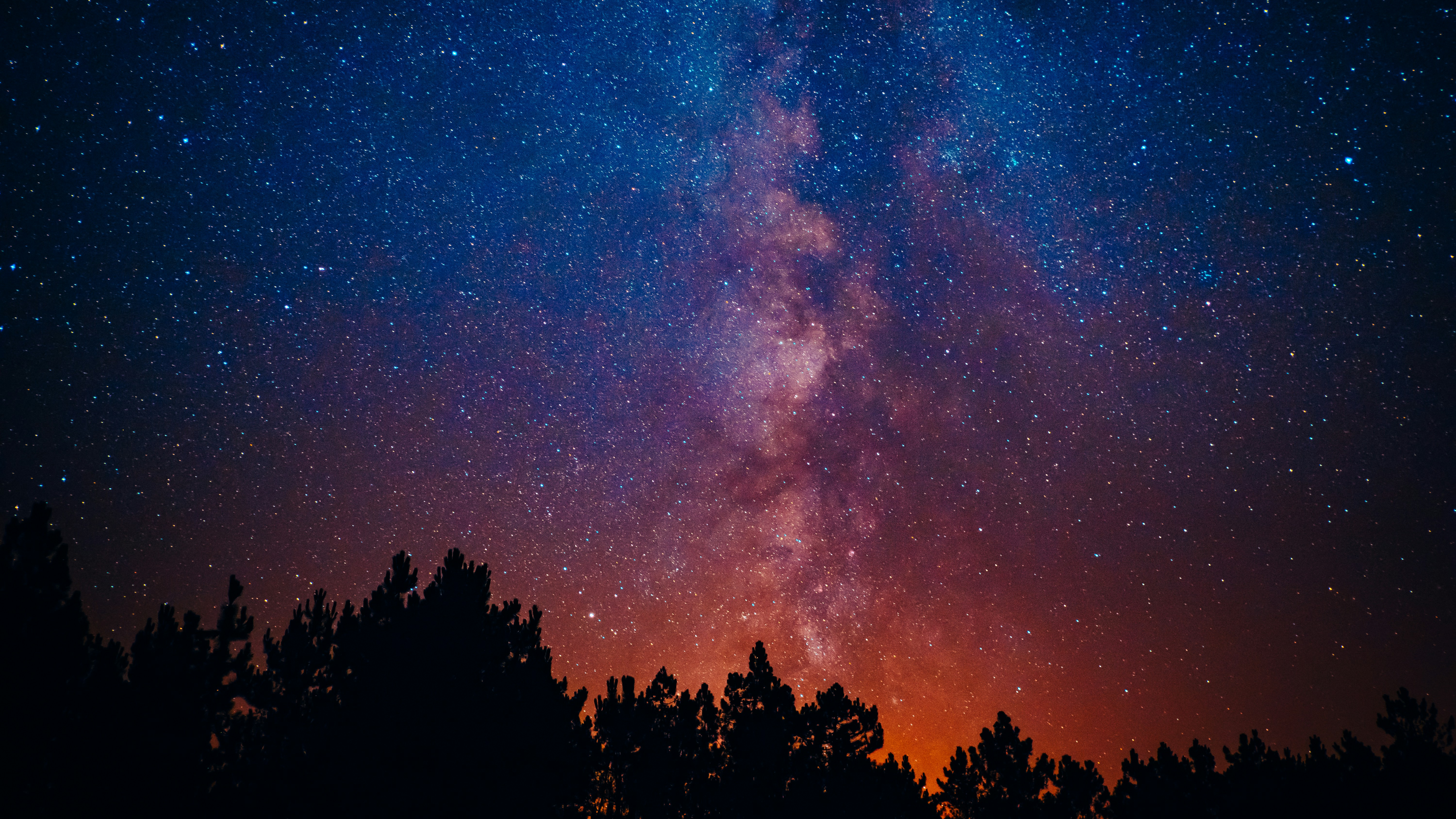 Milky Way Night Sky Over Forest