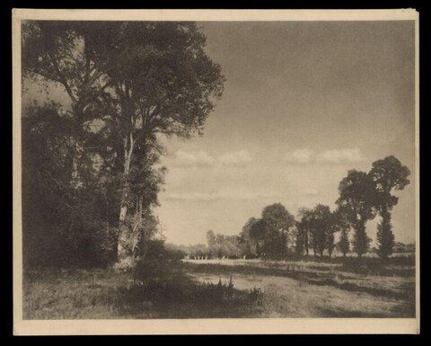 Monochrome Rural Meadow Landscape