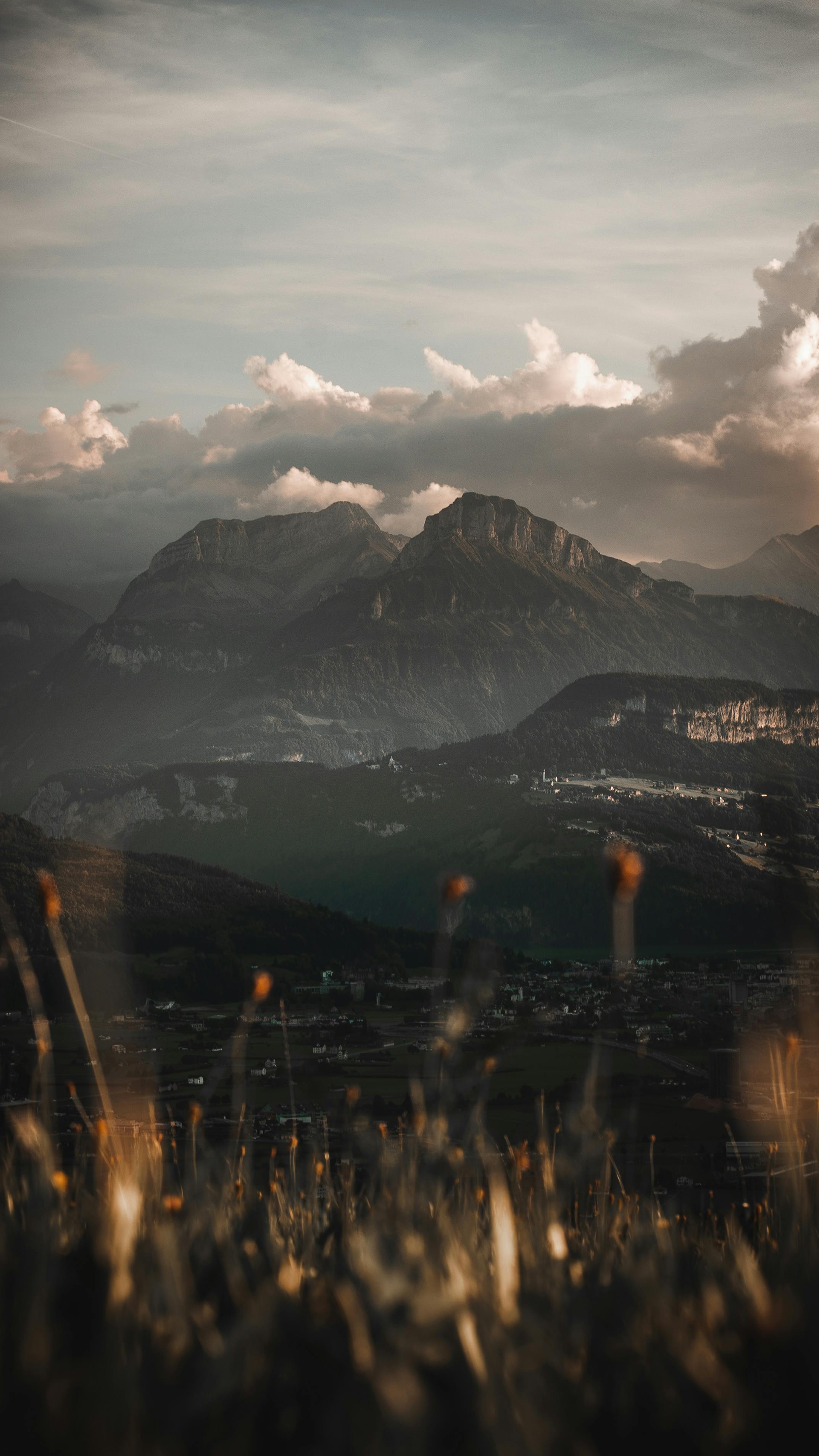 Wallpapers
