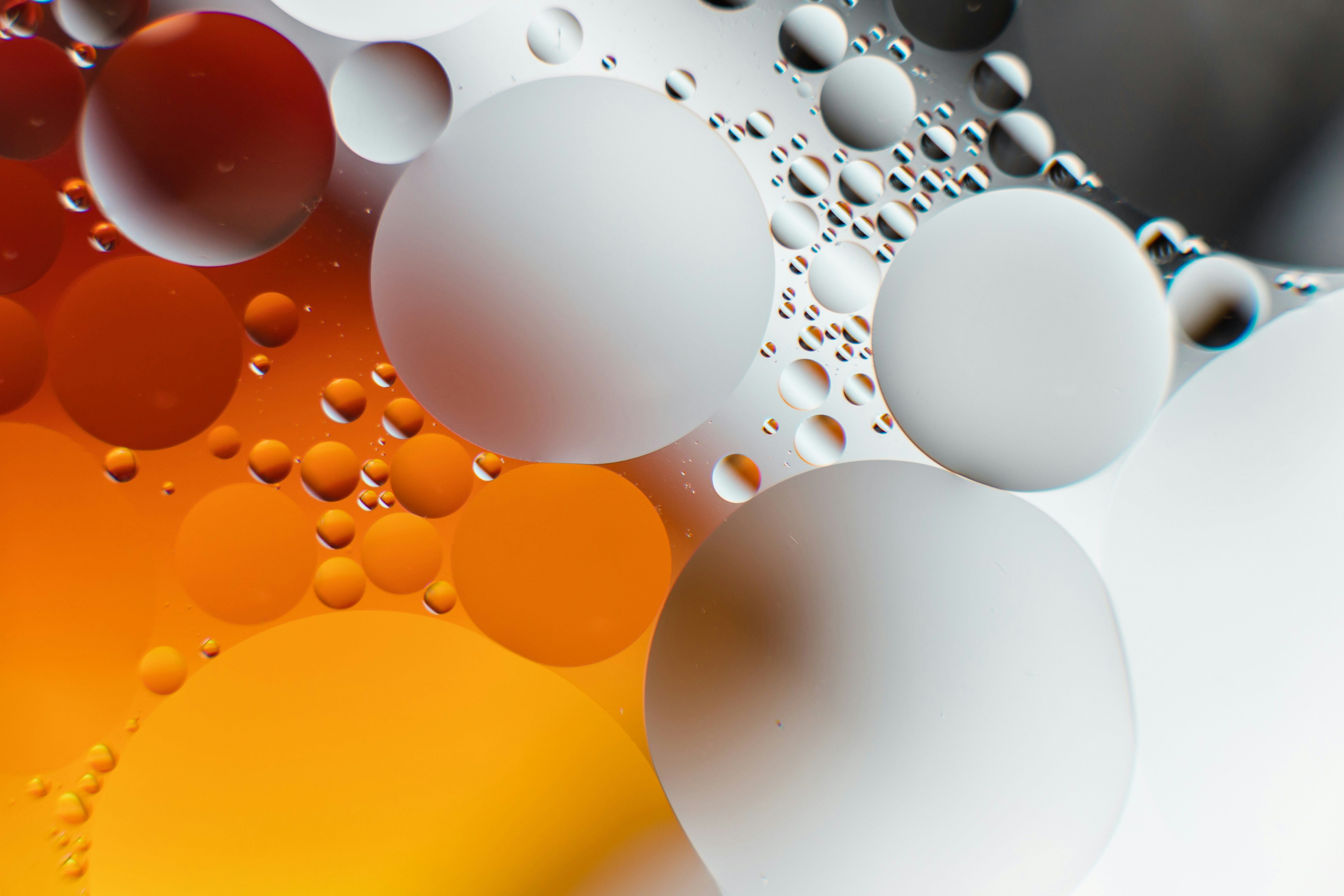 Close-up of Oil and Water Bubbles