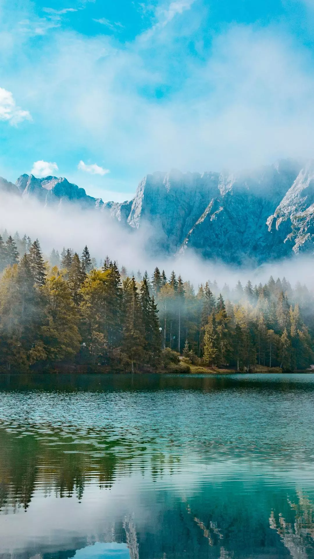 Landscapes