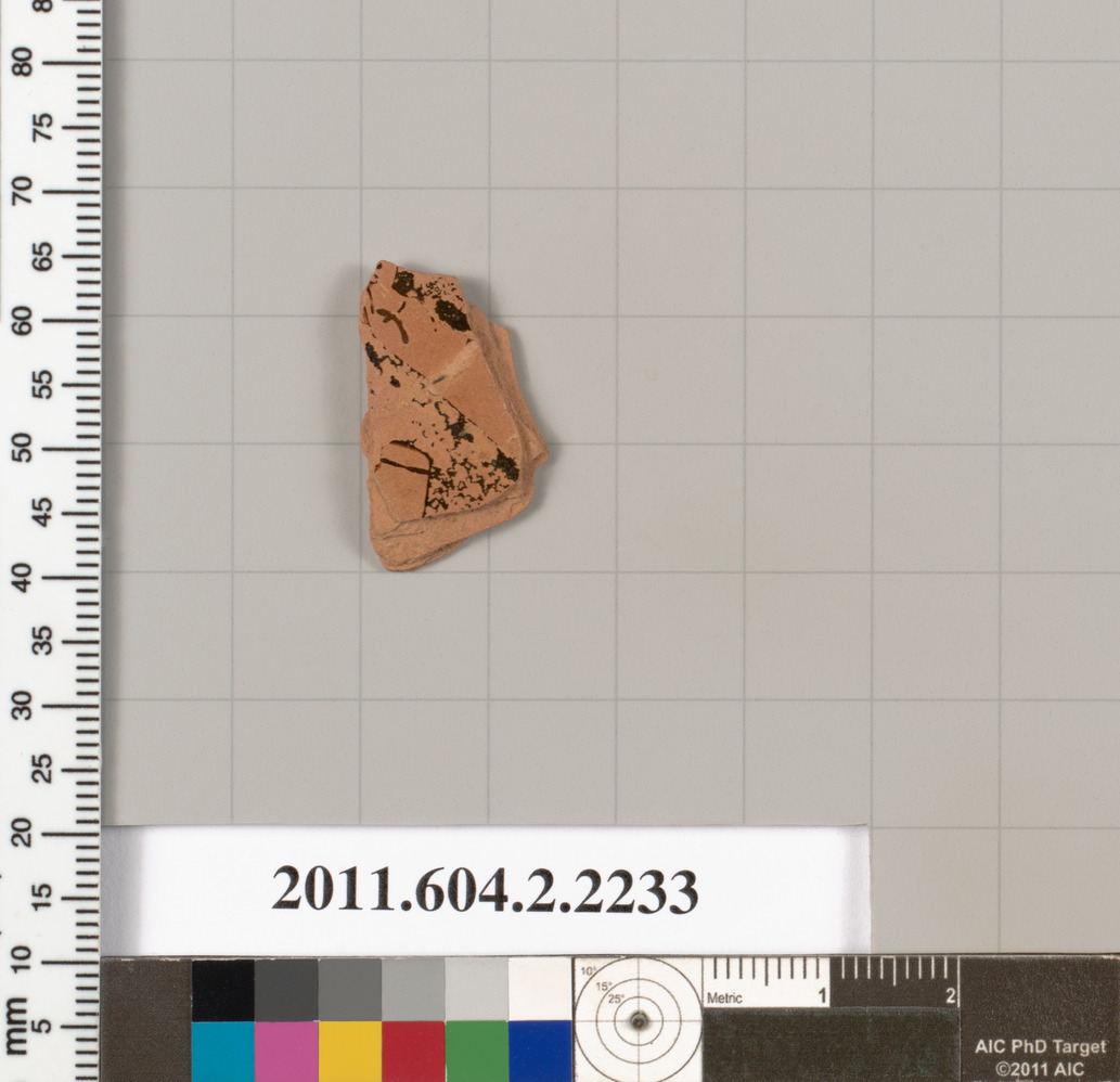 Archaeological Pottery Shard Specimen