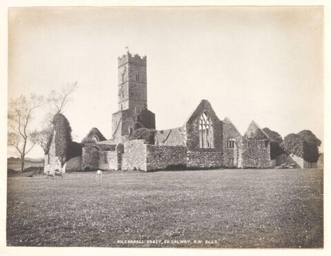 Kilconnell Abbey Ruins