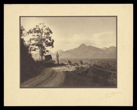 Vintage Winding Dirt Road Mountain View