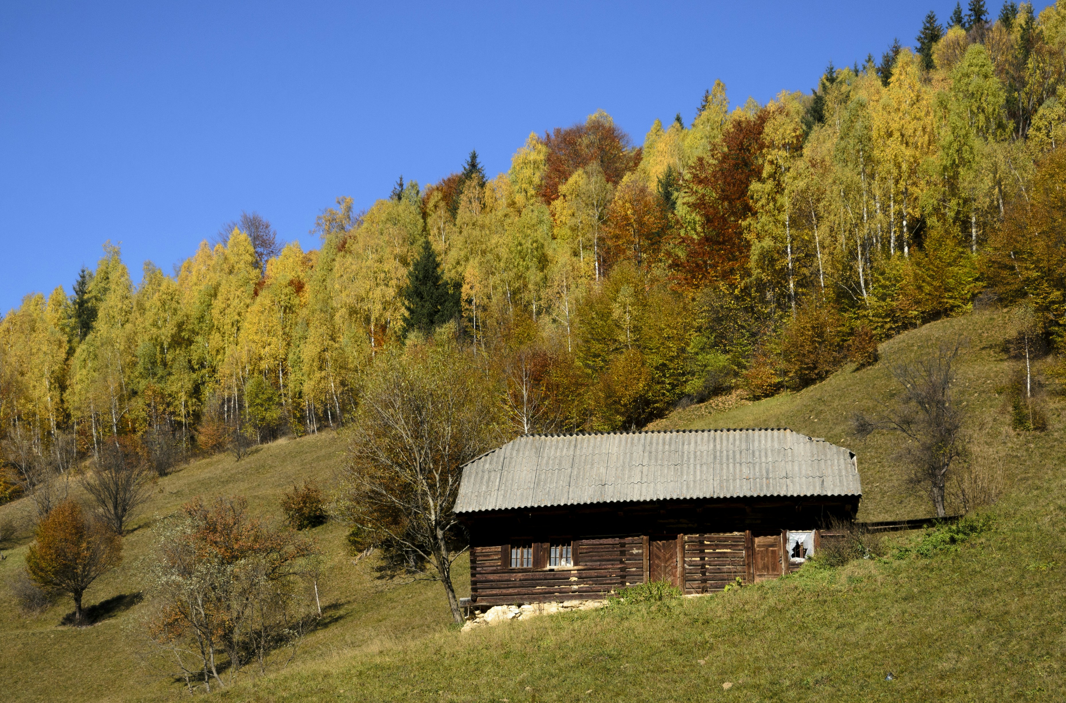 Wooden Cabin on Autumn Hillside