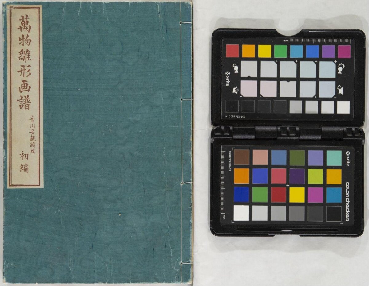 Antique Thread-bound Book and Color Checker