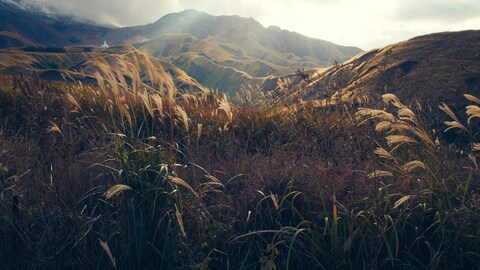 Sunlit Rolling Grassy Mountains