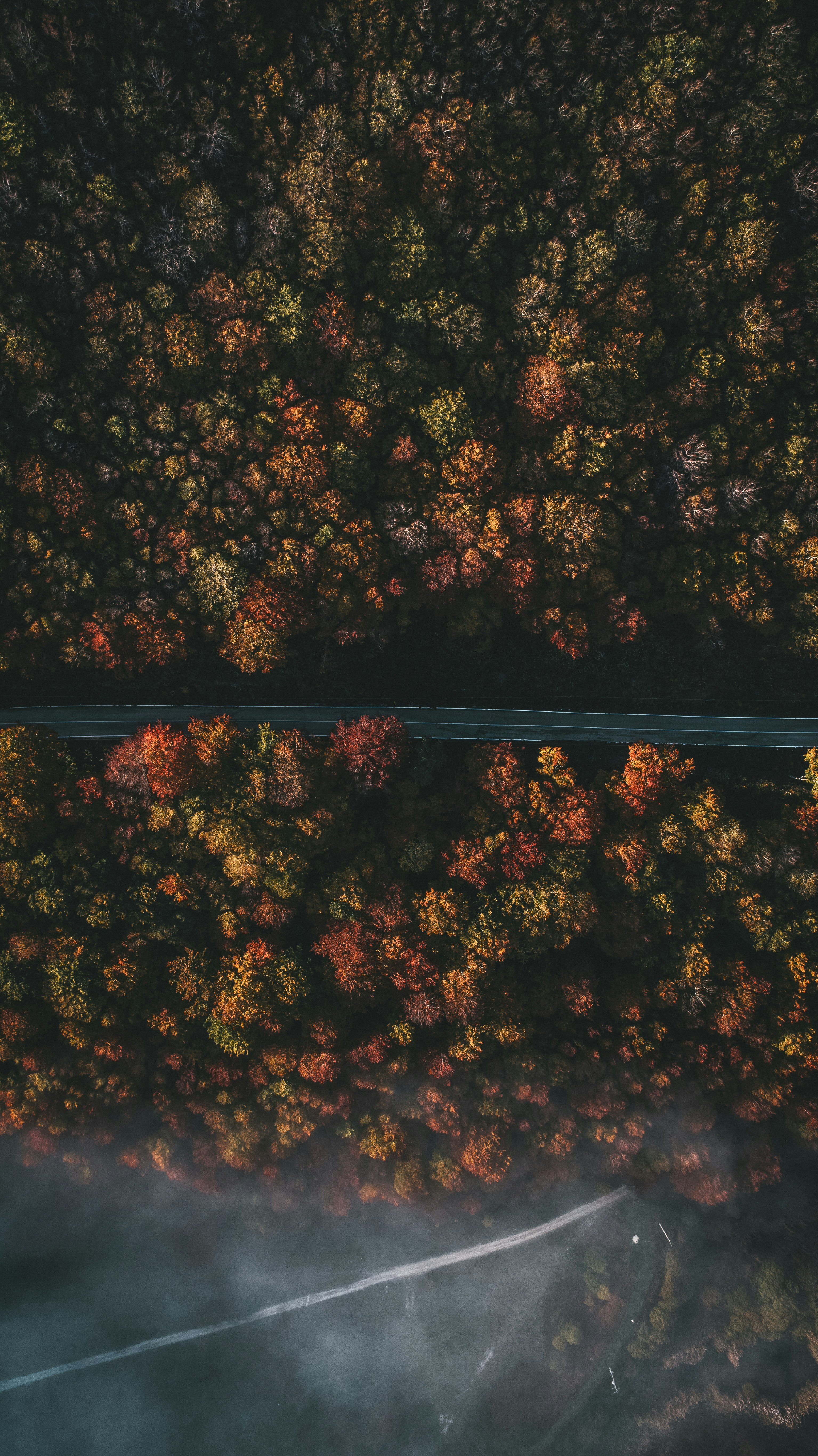 Aerial View of Autumn Forest with Roads