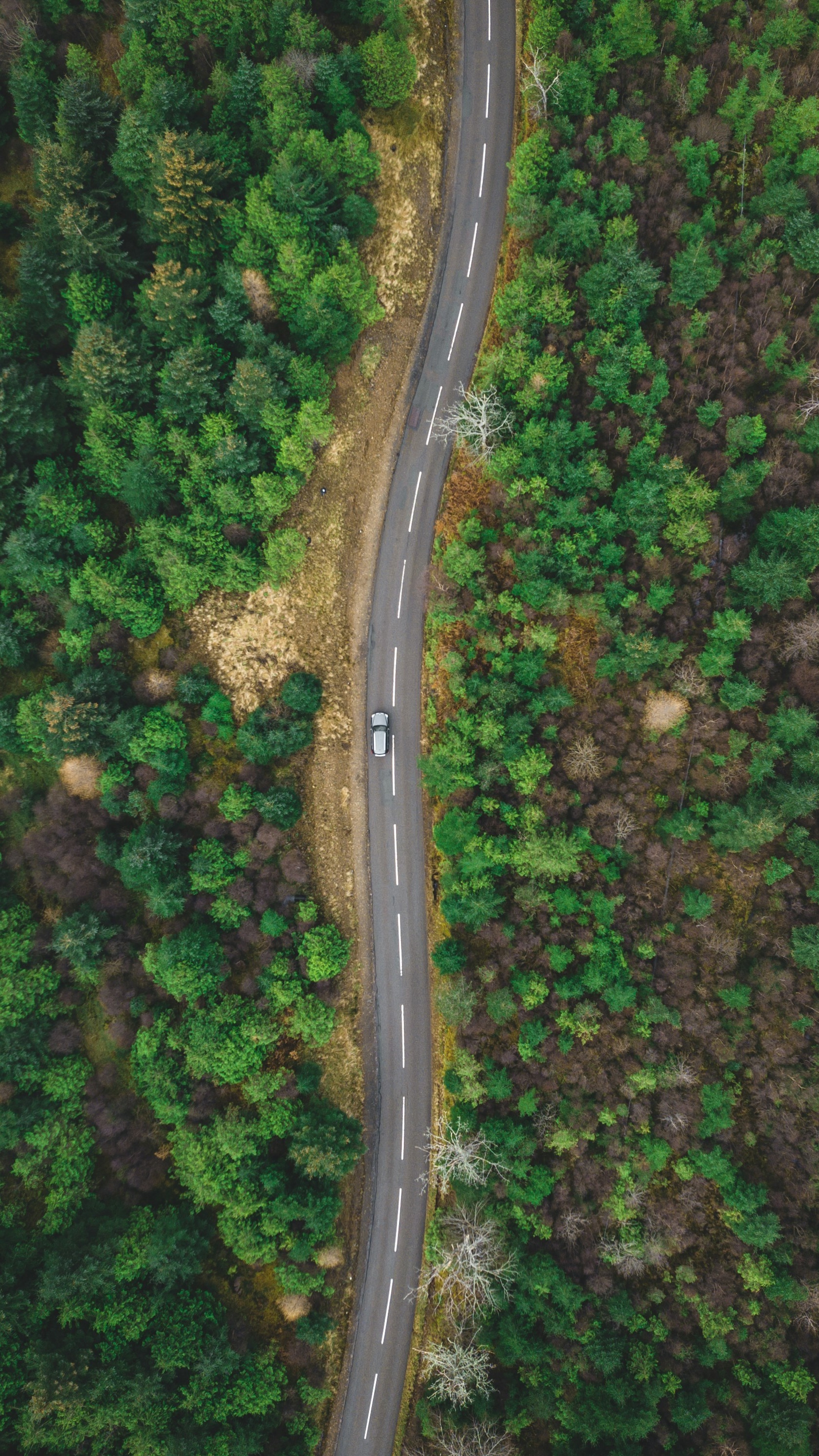 Wallpapers