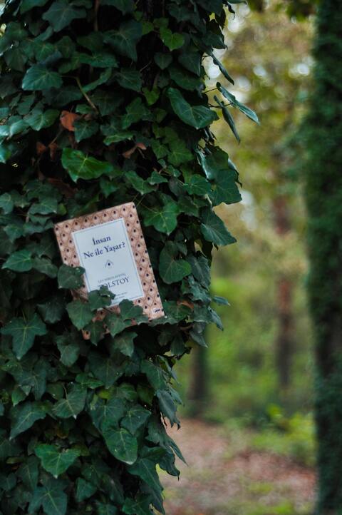 Tolstoy Book Tucked in Ivy