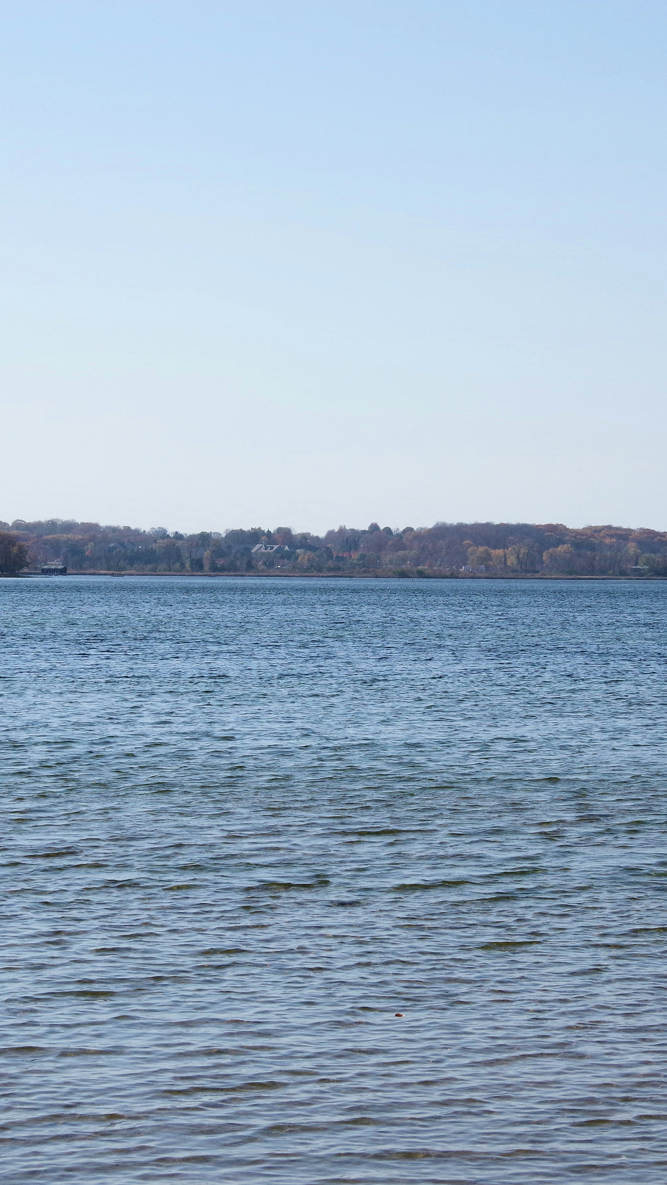 Calm Lake with Distant Autumn Shoreline