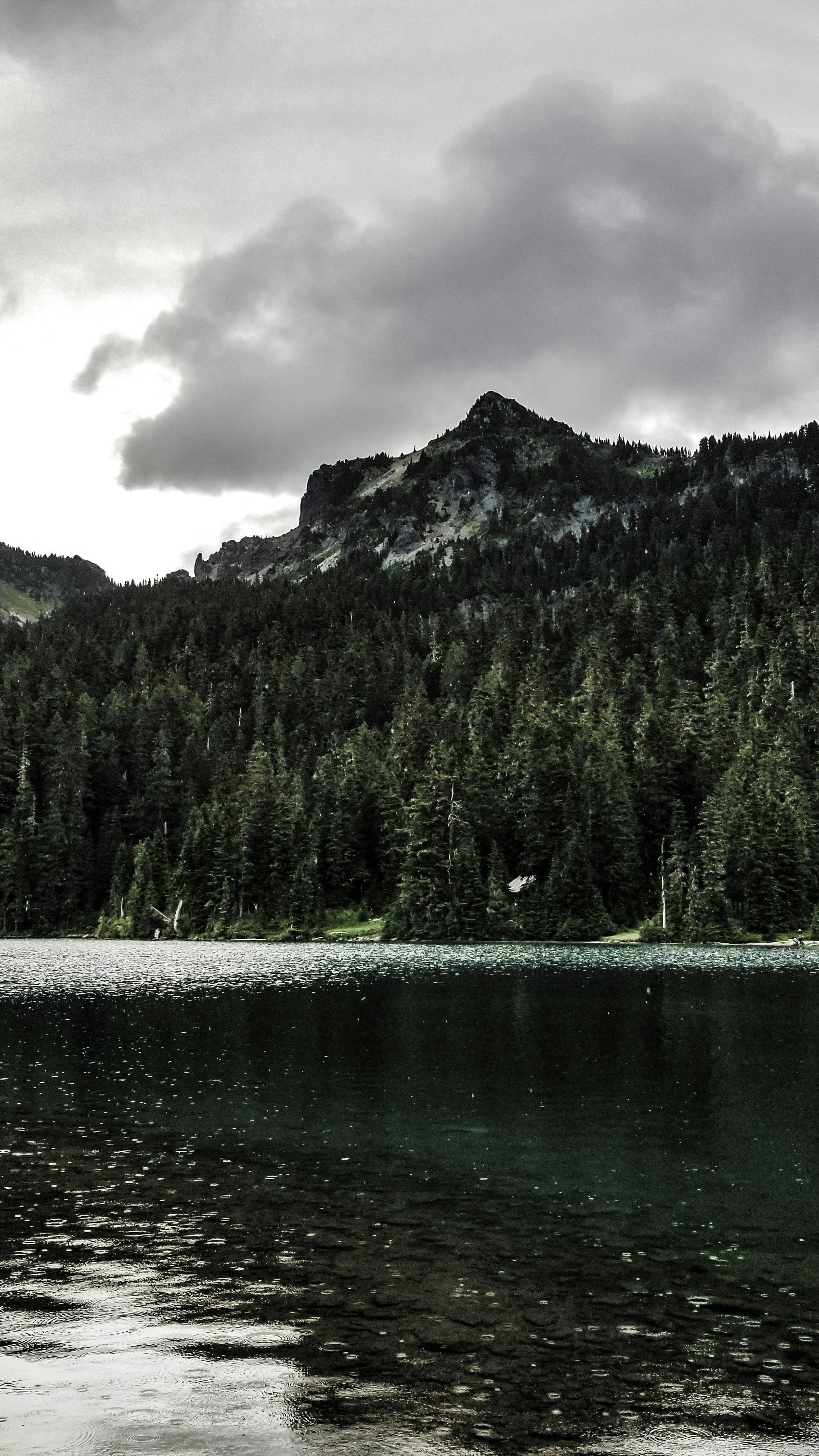 Landscapes