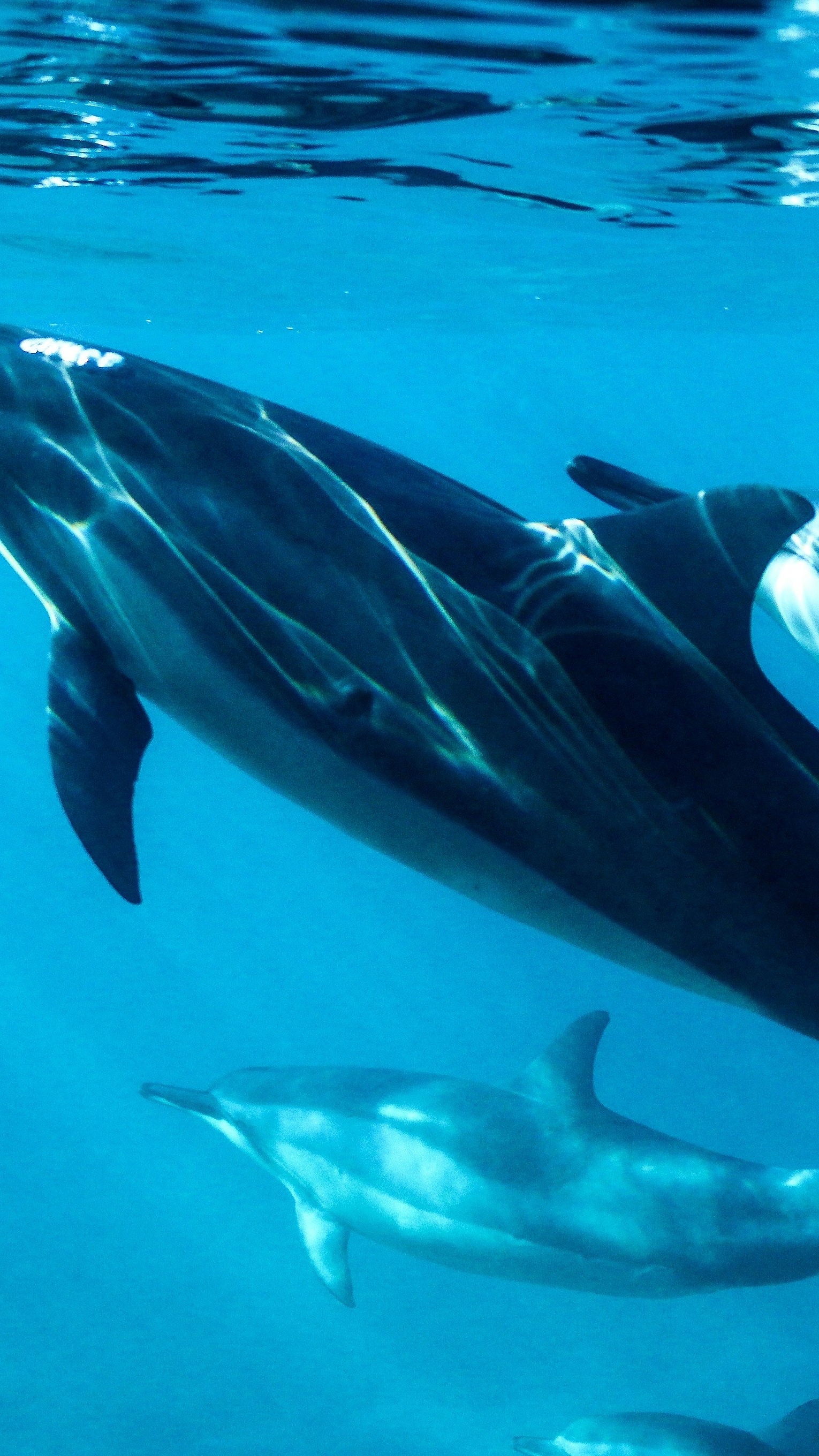 Ocean World
