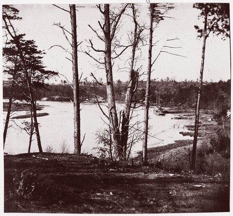 River View Framed by Tall Trees