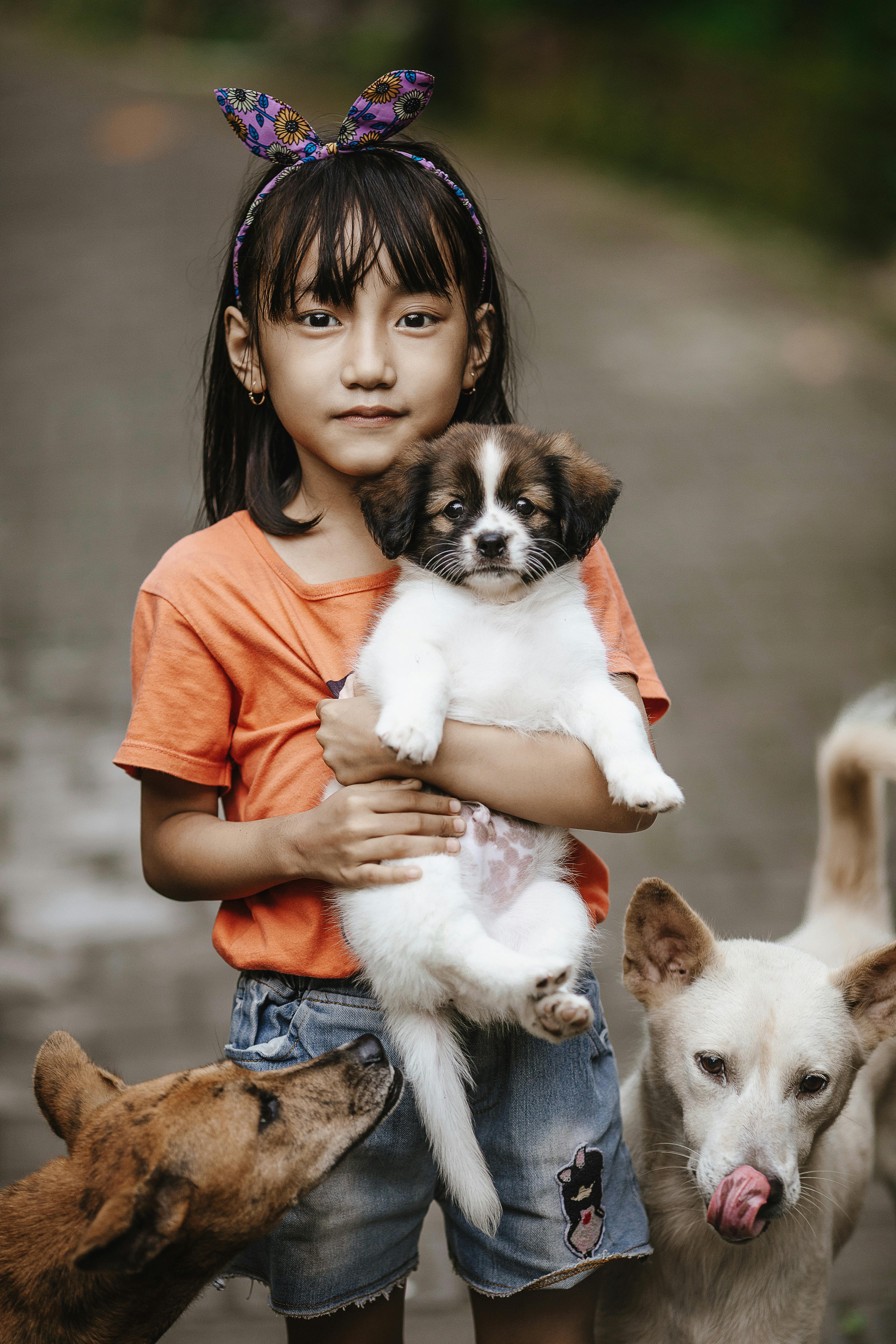 Girl Holding Puppy With Two Other Dogs
