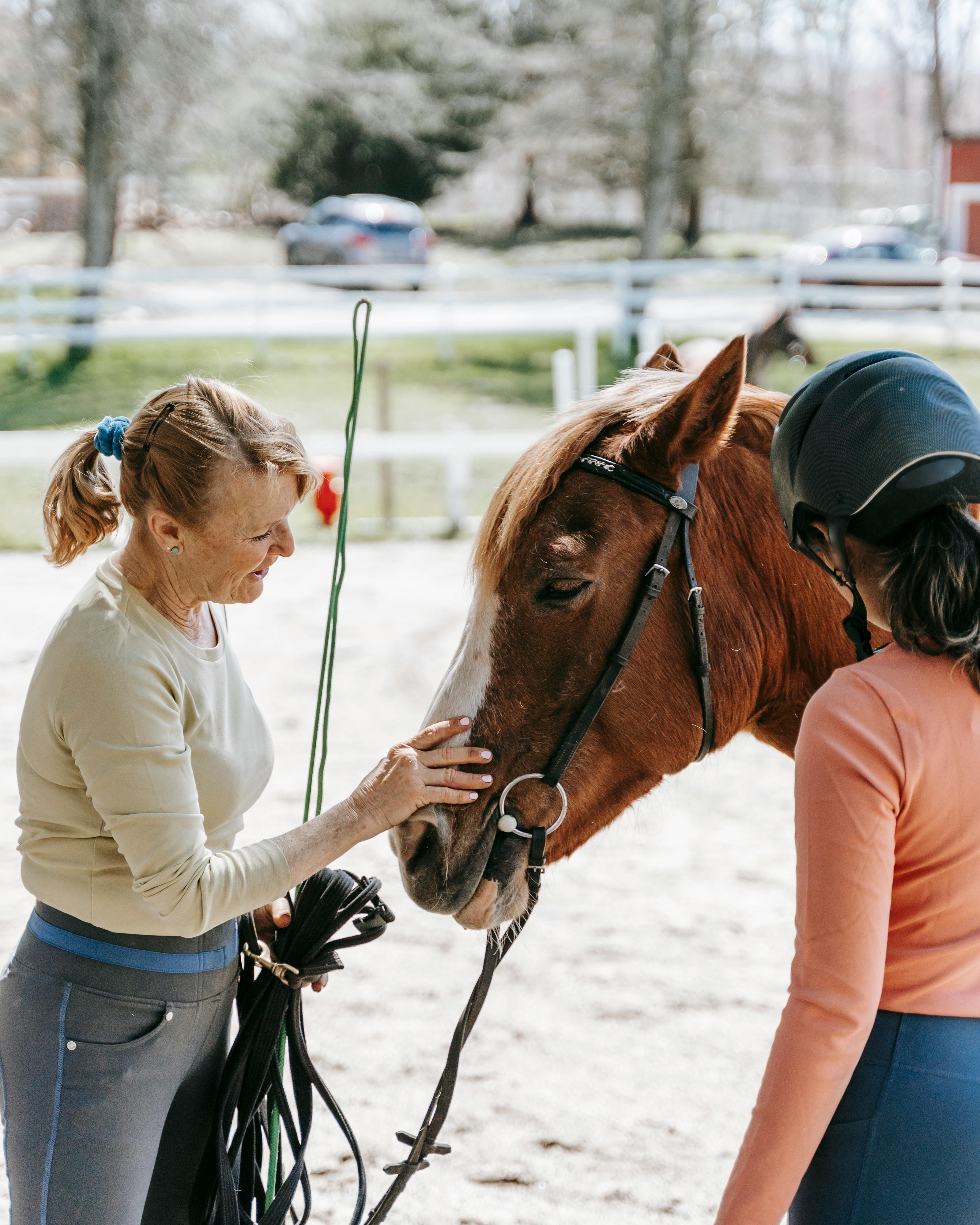 Horse Riding Instruction Session