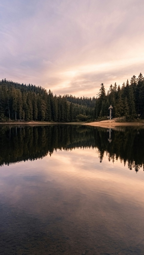 Calm Forest Lake At Sunset