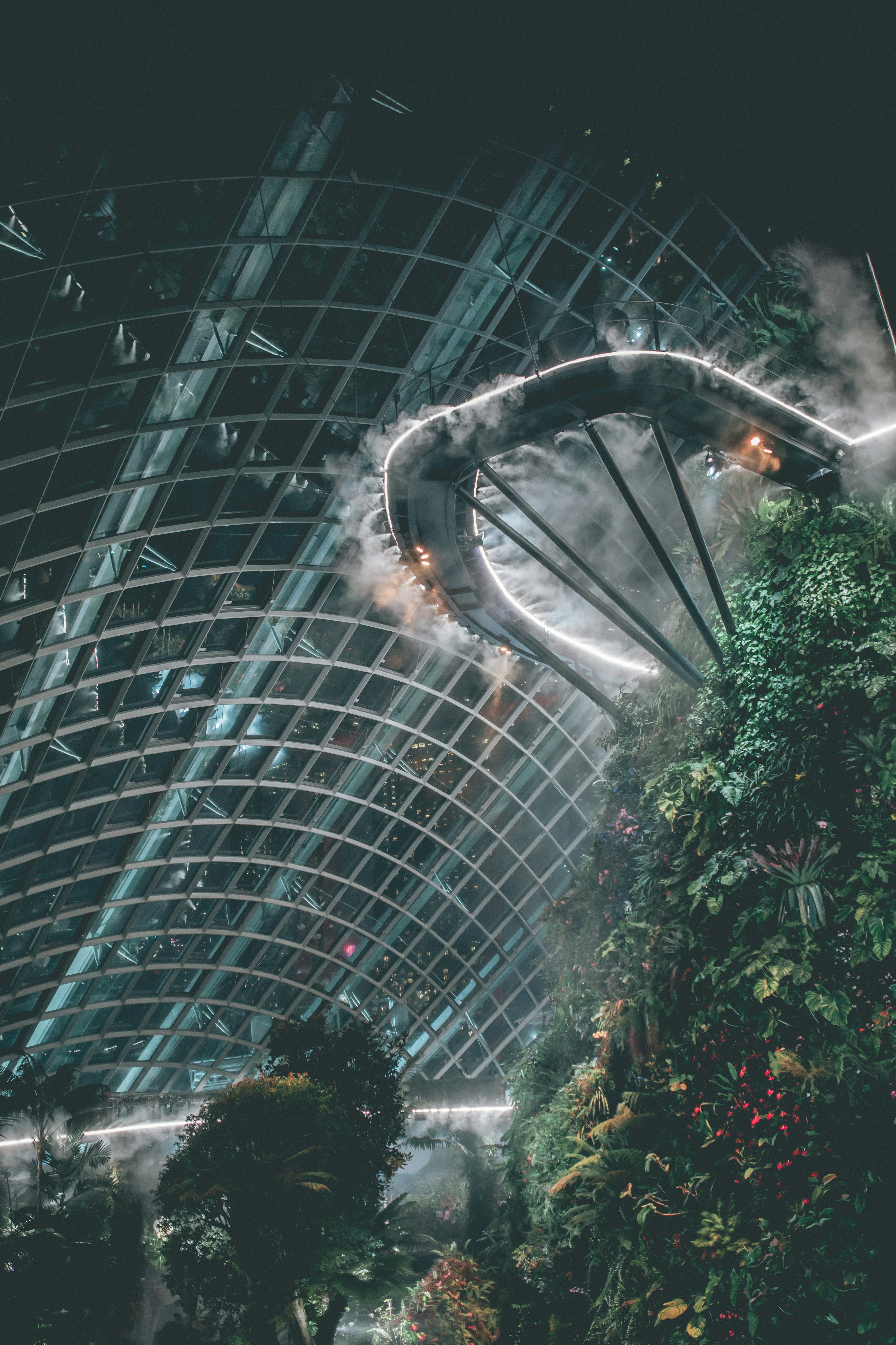 Cloud Forest Indoor Skywalk at Night