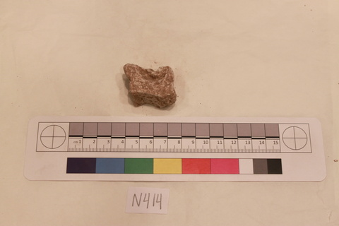 Archaeological Specimen N414