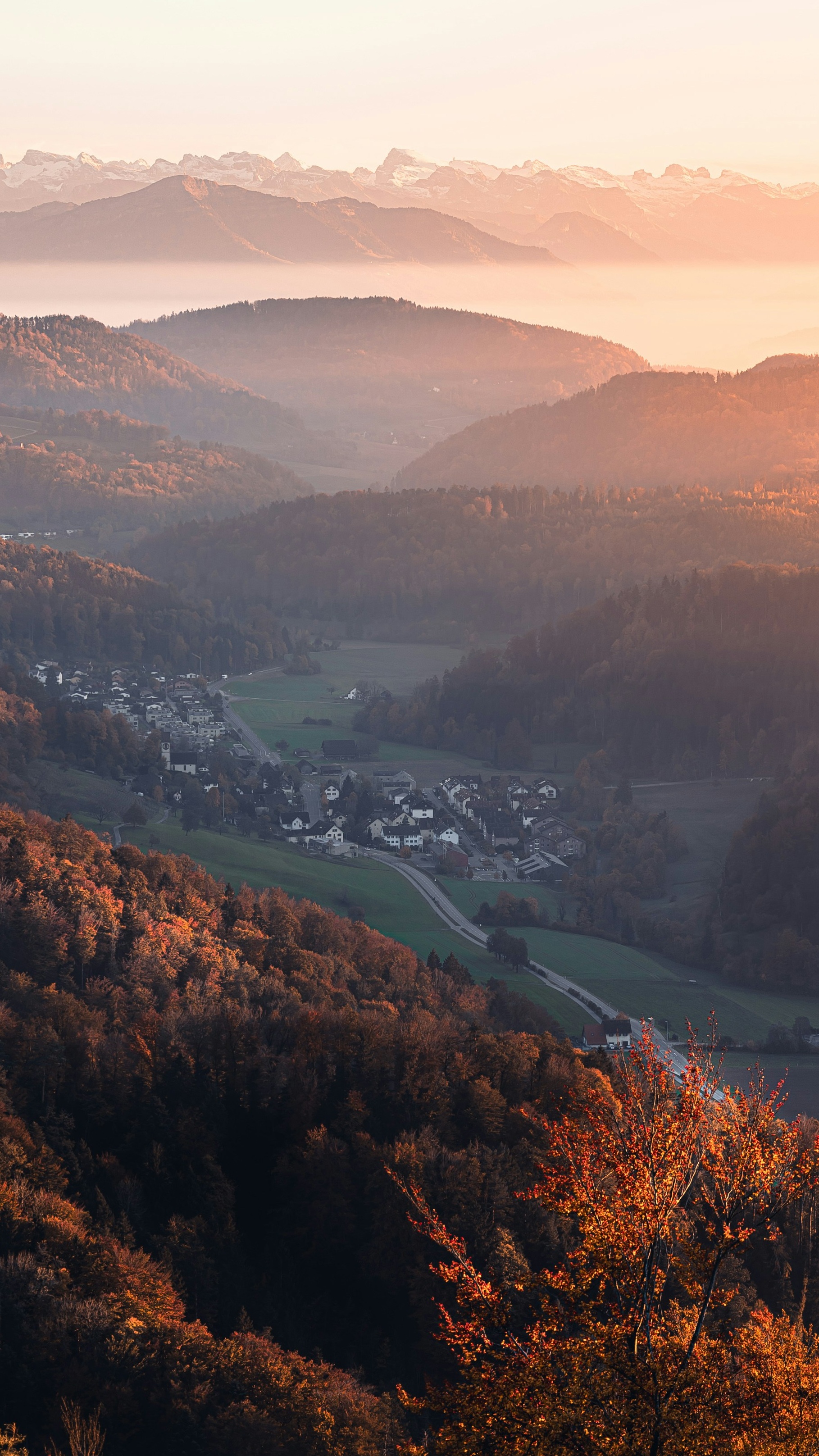Landscapes