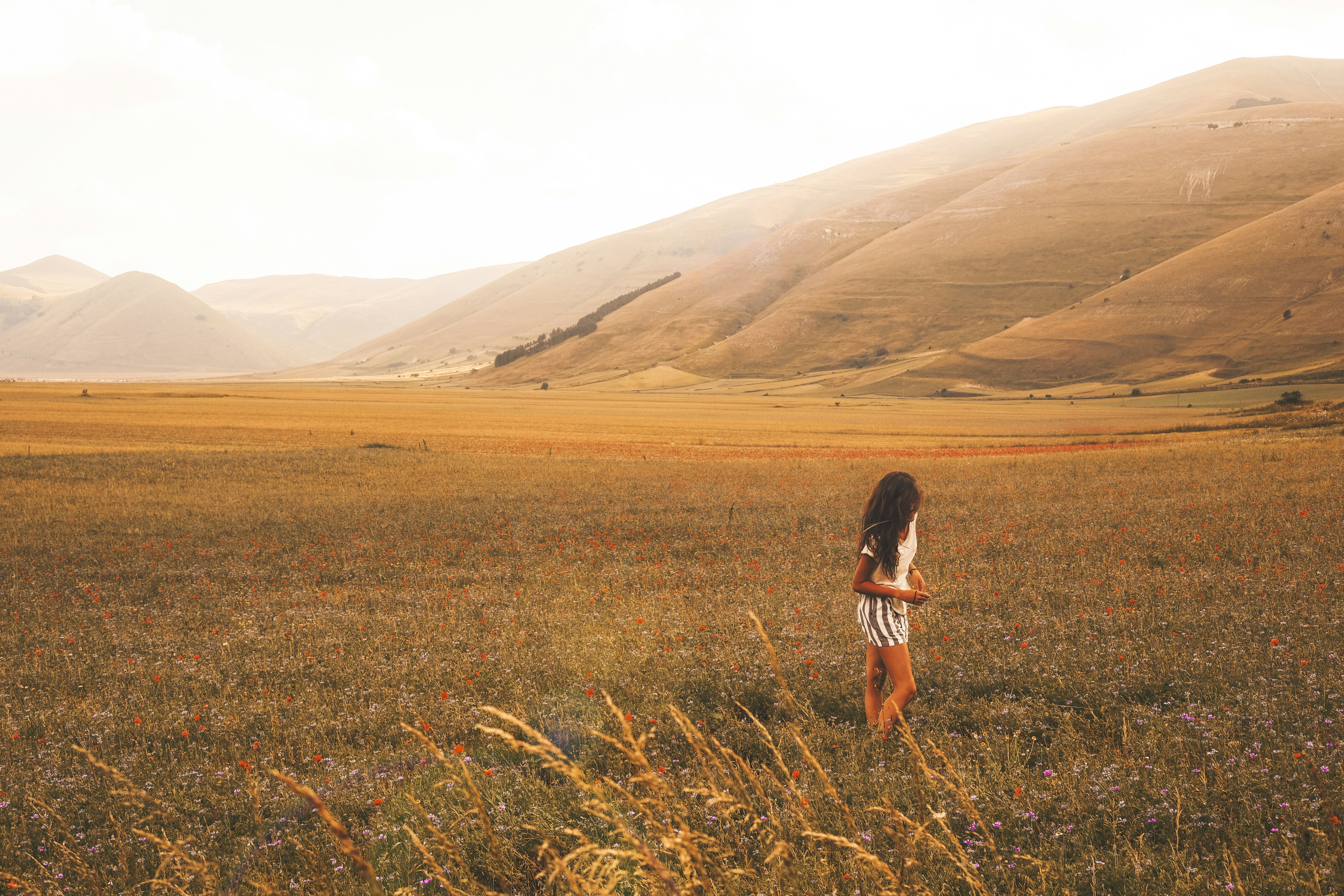 Girl Walking on Golden Grassland