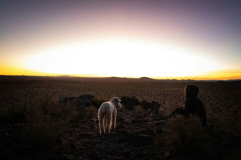 Person and Dog Watch Desert Sunset