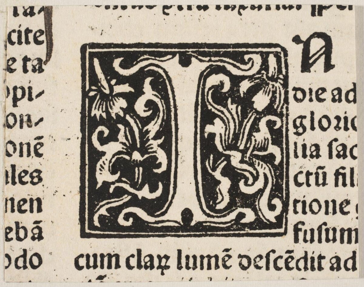 Ornate Initial N on Antique Printed Page