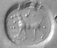 Ancient Coin With Two Animal Reliefs